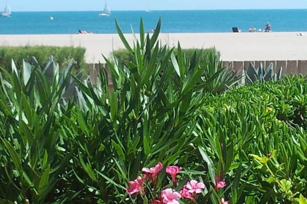 Cros Mer Et Piscine Saint-Pierre-la-Mer  Dış mekan fotoğraf